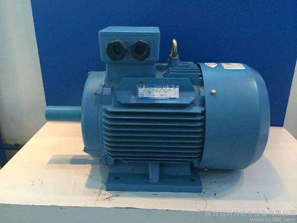 高效節(jié)能電機(jī)是西安泰富西瑪未來商業(yè)發(fā)展的方向。