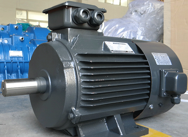 西安西瑪感應(yīng)式電機(jī)逆時(shí)針輸入工作負(fù)荷采集。