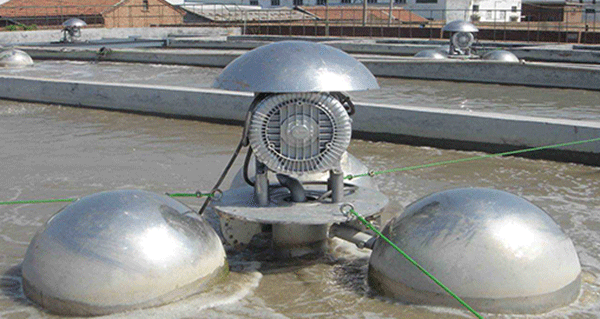 如何根據(jù)西瑪電機(jī)的外表來檢查防護(hù)等級的一致性？